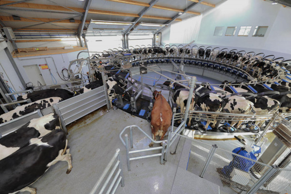 DeLaval Rotary E300 - Image 2